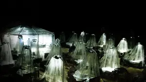 Backdrop to the movie "Carriers" #305035