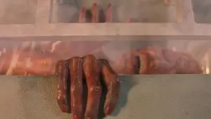 Backdrop to the movie "Final Destination 3" #789854