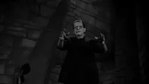 Backdrop to the movie "Frankenstein" #641068