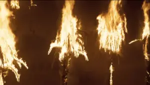 Backdrop to the movie "Dune" #529610