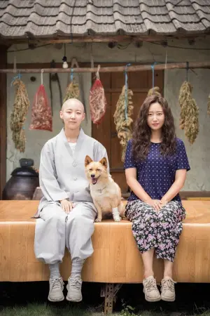 Poster to the movie "Mungyeong: More than Roads" #448858