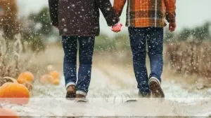 Backdrop to the movie "Snow Falling on Pumpkins" #691687