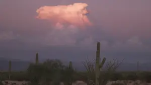 Backdrop to the movie "Spare My Bones, Coyote!" #542318