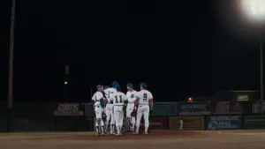 Backdrop to the movie "Bull Durham" #341266