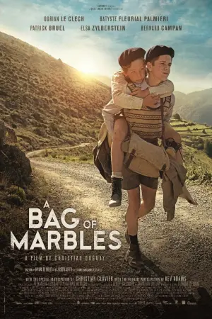 Poster to the movie "A Bag of Marbles" #753311