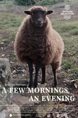 a Few Mornings, an Evening