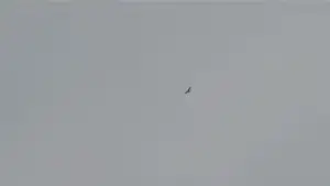 Backdrop to the movie "Hamnet" #795811