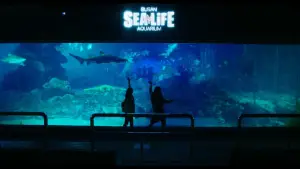Backdrop to the movie "Soulmate" #887551
