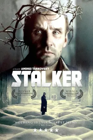 Poster to the movie "Stalker" #176917
