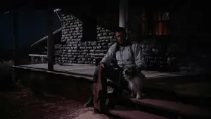 Backdrop to the movie "The Searchers" #713474