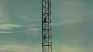 Backdrop to the movie "Fall" #231694