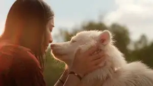 Backdrop to the movie "Gohan" #796484