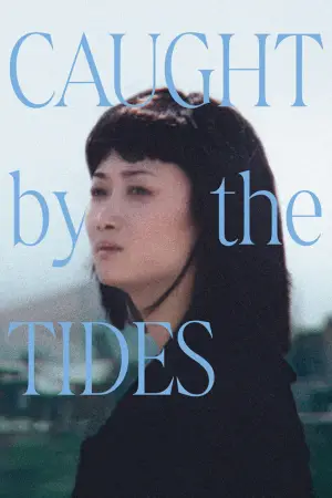 Poster to the movie "Caught by the Tides" #612008