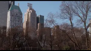 Backdrop to the movie "Home Alone 2: Lost in New York" #567007