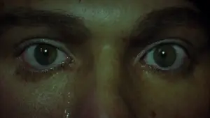 Backdrop to the movie "House of Wax" #707956