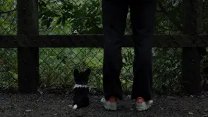 Backdrop to the movie "Forget Me Not" #491603