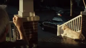 Backdrop to the movie "Gran Torino" #741268