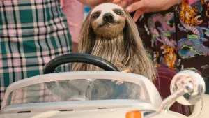 Backdrop to the movie "Slotherhouse" #430723