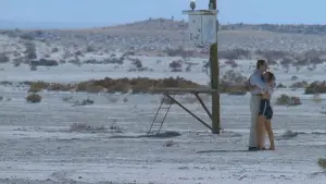 Backdrop to the movie "Lolita" #768795