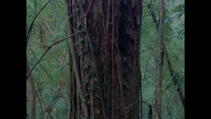 Backdrop to the movie "Old World" #415691