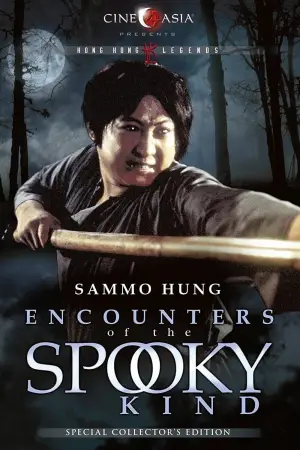 Poster to the movie "Encounter of the Spooky Kind" #942975