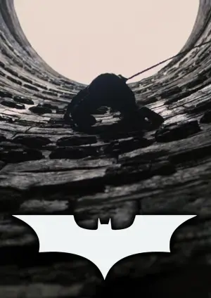 Poster to the movie "The Dark Knight Rises" #559251