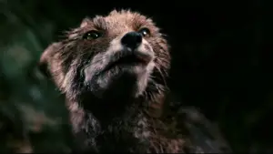 Backdrop to the movie "Antichrist" #723346