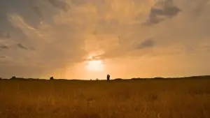 Backdrop to the movie "Malaikottai Vaaliban" #759025