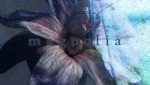 Backdrop to the movie "Magnolia" #670122