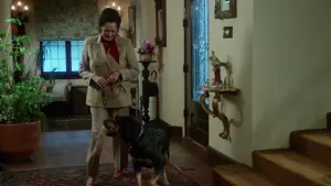 Backdrop to the movie "Play Dead" #501111