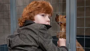 Backdrop to the movie "Billy and Buddy" #501889