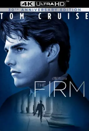 Poster to the movie "The Firm" #91327