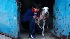 Backdrop to the movie "Sleepless City" #764954