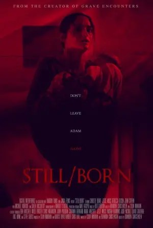 Poster to the movie "Still/Born" #486731