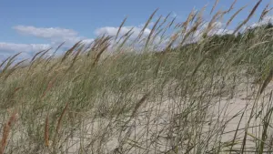 Backdrop to the movie "Summing up summer" #470056