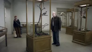 Watch film A Pigeon Sat on a Branch Reflecting on Existence | Official Trailer
