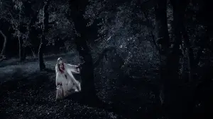 Backdrop to the movie "Twixt" #712996