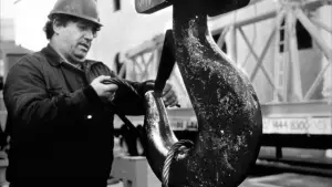 Backdrop to the movie "Crane World" #721229