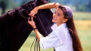 Backdrop to the movie "Her Alibi" #707406