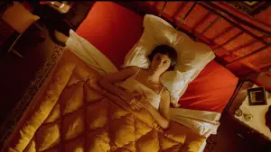 Backdrop to the movie "Amélie" #648919