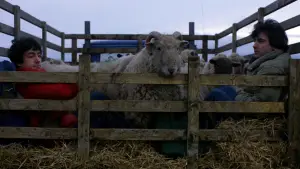 Backdrop to the movie "An American Werewolf in London" #701859