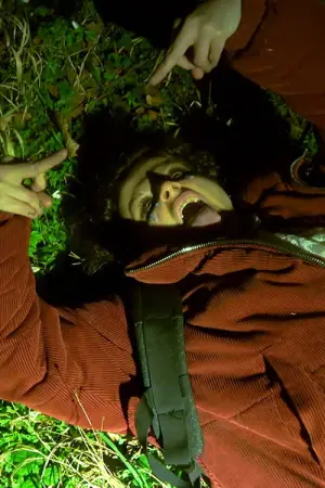 Poster to the movie "WOLFGANG" #544129