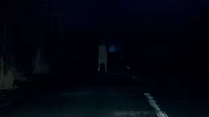 Backdrop to the movie "Shutter" #336651