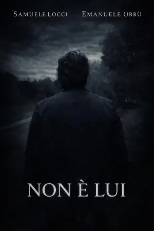 Poster to the movie "Non è lui" #547944