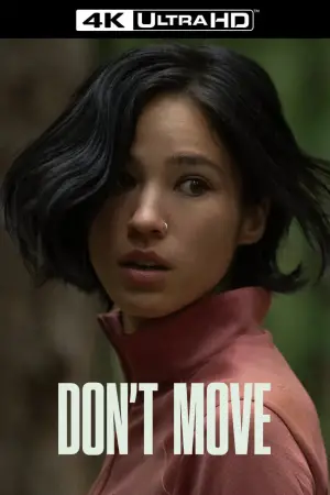 Poster to the movie "Don