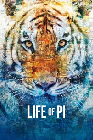 Poster to the movie "Life of Pi" #690048