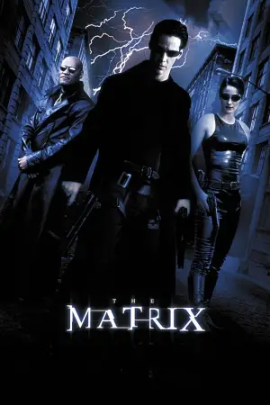 Poster to the movie "The Matrix" #526338
