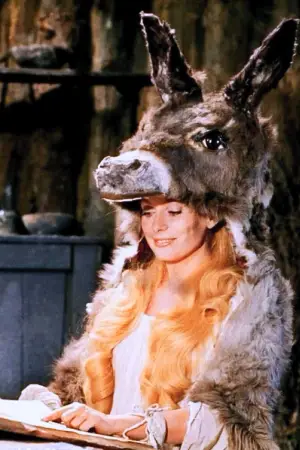 Poster to the movie "Donkey Skin" #812129