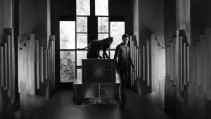 Watch film Diabolik - Who Are You? | DIABOLIK - WHO ARE YOU? - Official Trailer - English subtitled