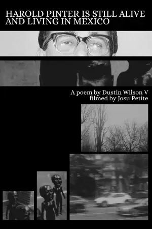 Movie poster "Harold Pinter is Still Alive and Living in Mexico"